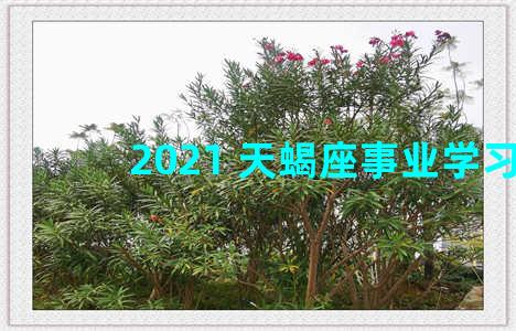 2021 天蝎座事业学习